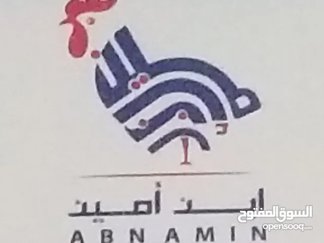 ابن امين للجميع خدمات الدواجن اعلاف معدات علاجات كتاكيت