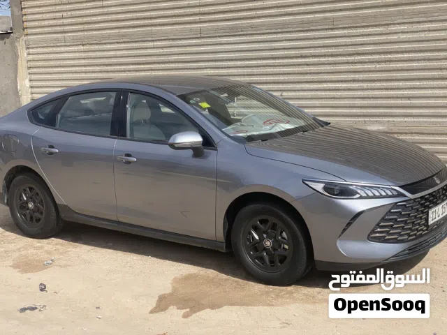 2025 بي واي دي كين