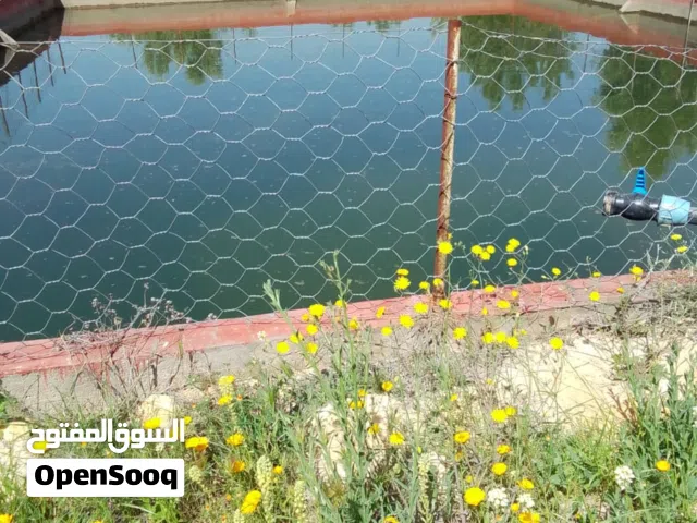 Farm Land for Sale in Béni Mellal Indéfini