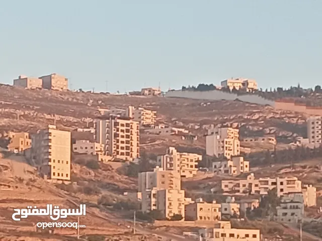 Residential Land for Sale in Amman Safut