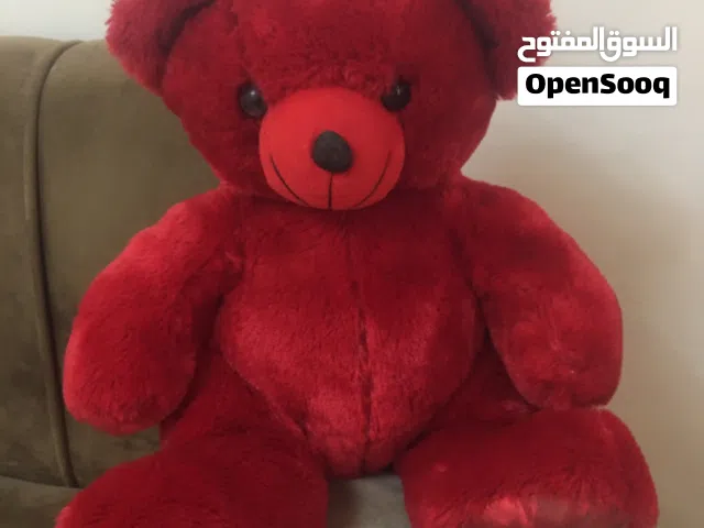دب احمر وسط