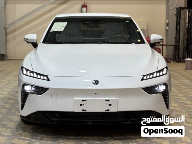2026 Dongfeng 007