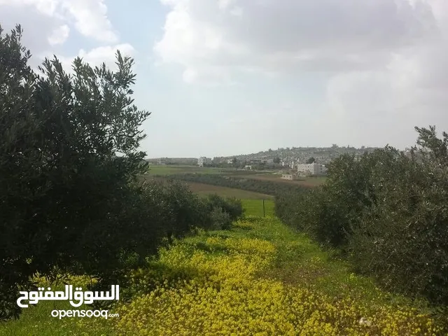 اقل سعر ل 4 دونم و ربع على بعد 200 متر من الجامعه الالمانيه مع طله غربيه للبيع، للضروره!!
