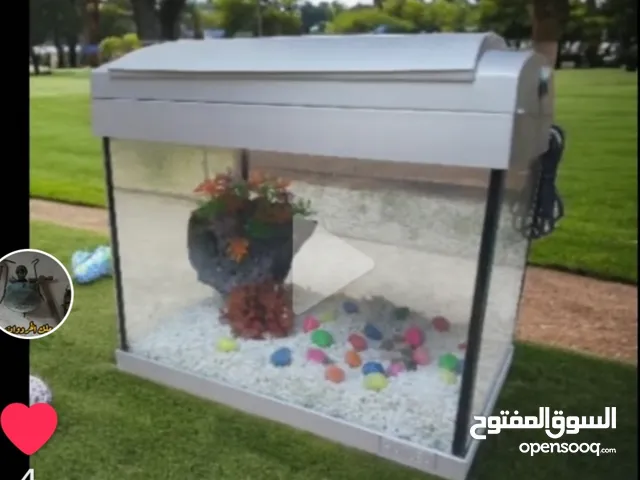 حوض سمك زجاج