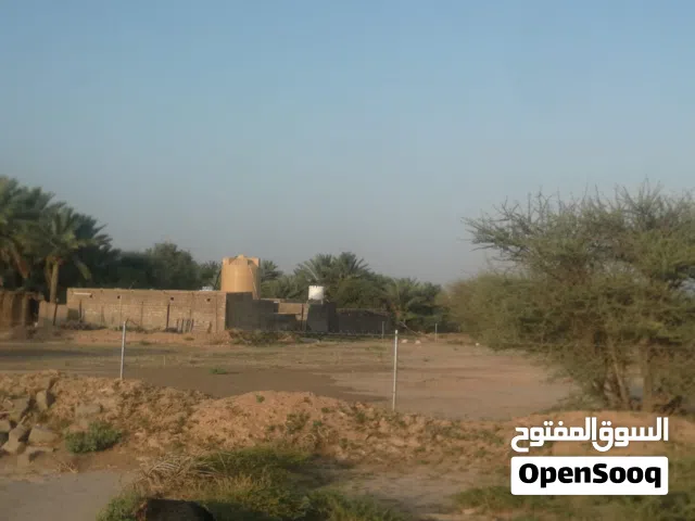 مزرعة للإيجار