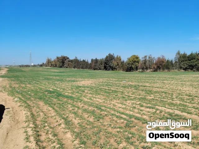 Farm Land for Sale in Amman Al Jizah