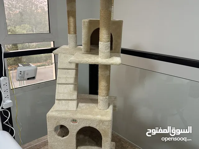 Used Cats home