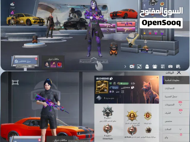 توفير حسابات ببجي بحسب الطلب للتواصل وتس تسليم يد بيد بصنعاء او مأرب