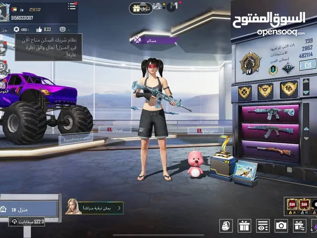 Pubg Accounts and Characters for Sale in Abu Dhabi