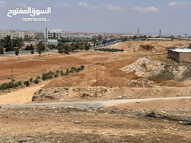Farm Land for Sale in Irbid An-Nuayyimah