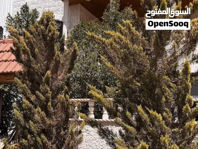 700 m2 4 Bedrooms Villa for Sale in Zarqa Al Zarqa Al Jadeedeh