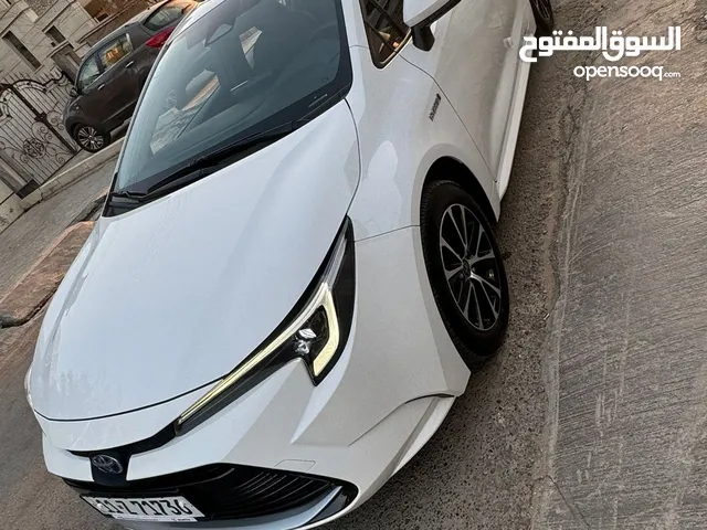 New Toyota Corolla in Baghdad