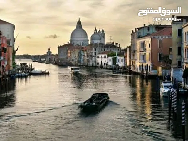 شقة للايجار في الحي الجامعي شقة درجة اولى اسكن طول موقع ممتاز جيهة الفيلات