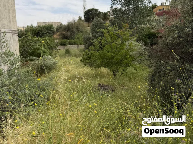 ارض منبسطه قريبه على الشارع منطقه جميله هادئه السعر