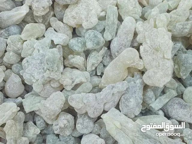 لبان ذكر أخضر درجه اولى ممتاز