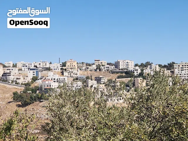 Residential Land for Sale in Amman Bilal