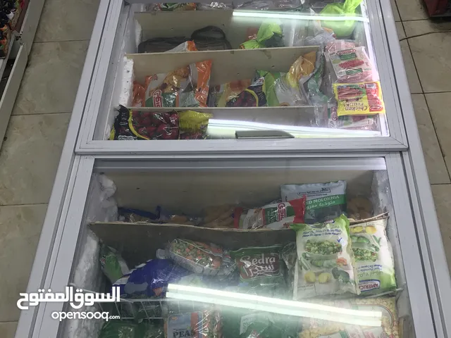 Other Freezers in Amman