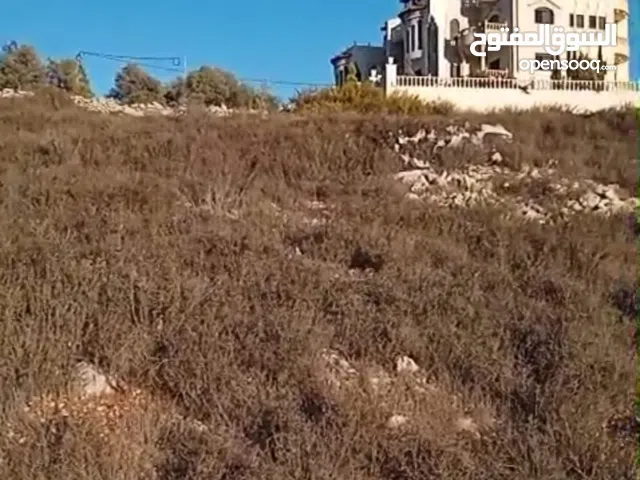 ارض للبيع بمنطقة سردا  تصنيف طابو