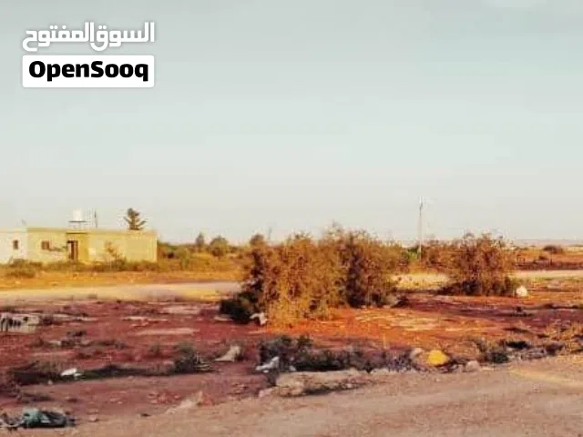 Farm Land for Sale in Benghazi Bu Hadi
