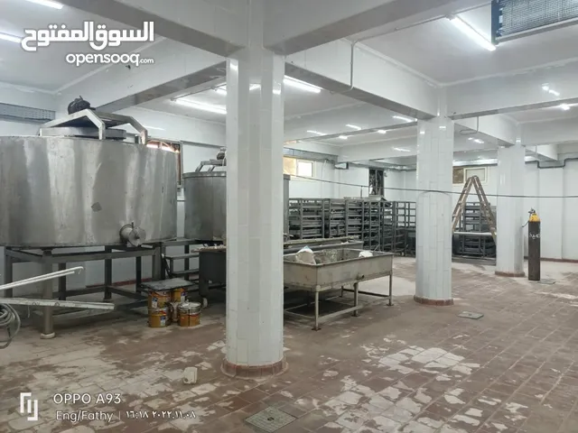 مطلوب حليب بقر طبيعي جمله