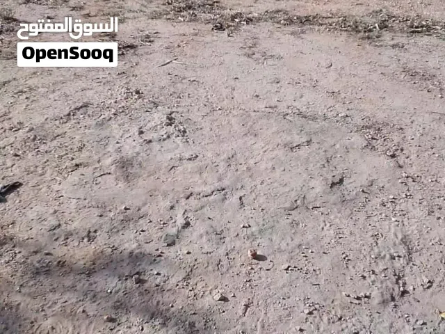 مزرعة للايجار في العيد