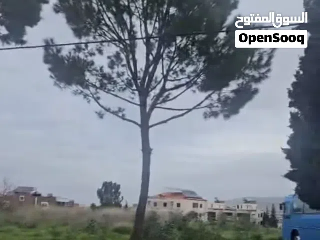 ارض للبيع طرابلس الكورة النخلة