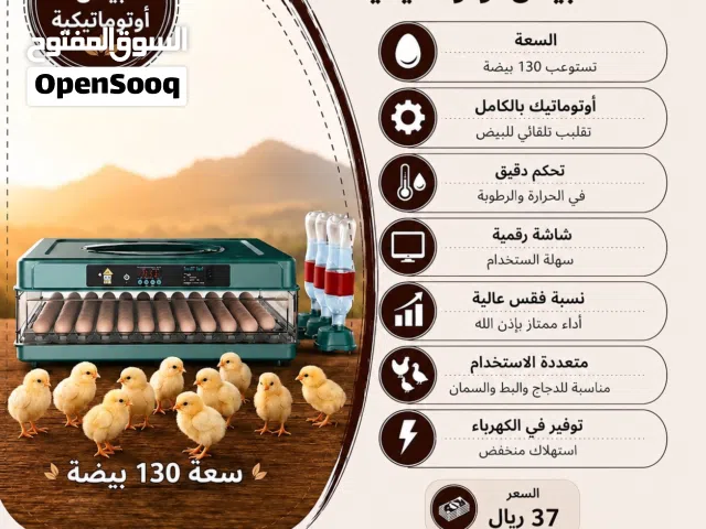 فقاسات البيض الأوتوماتيكية عالية الجودة