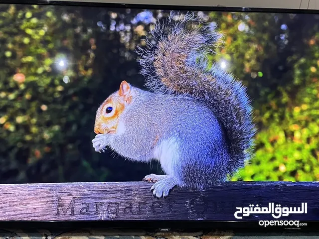للبيع تلفزيونات ال جي و فيلبس و TCL بدون اي مشاكل