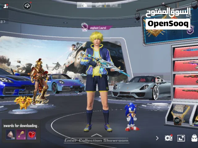 حساب ببجي مستوى عالي