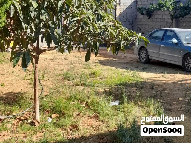 Residential Land for Sale in Tripoli Ain Zara