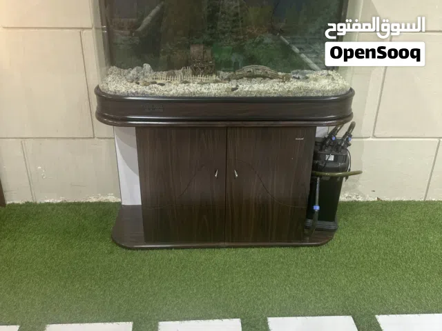 حوض سمك كبير