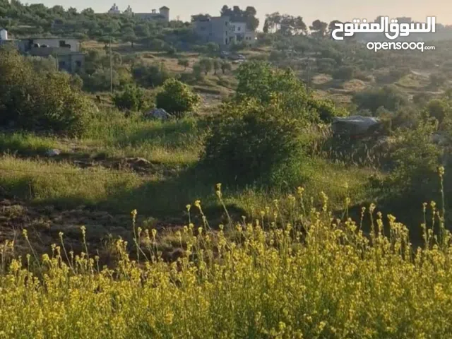 ارض للبيع صالحه للبيناء في دير ابزيع يو جد 2دونم سعر الدونم  90الف دينار