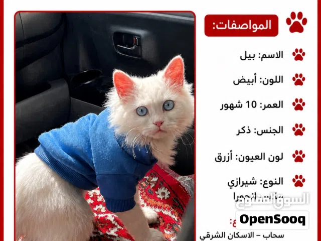 مفقود في سحاب