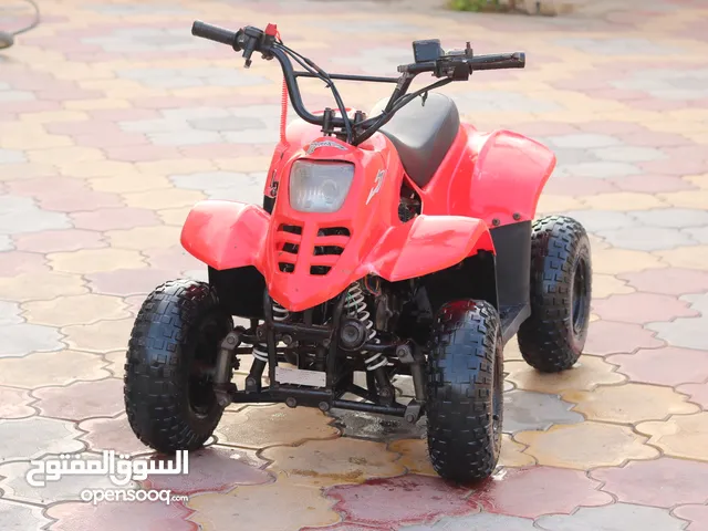 دراجة اطفال صغيرة دباب بجي bike quad buggy small bike 110cc 110cc...