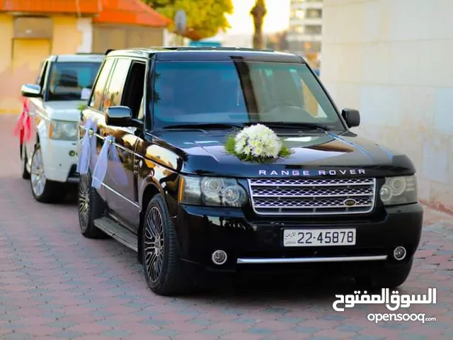 سيارات للاعراس والمناسبات في اربد