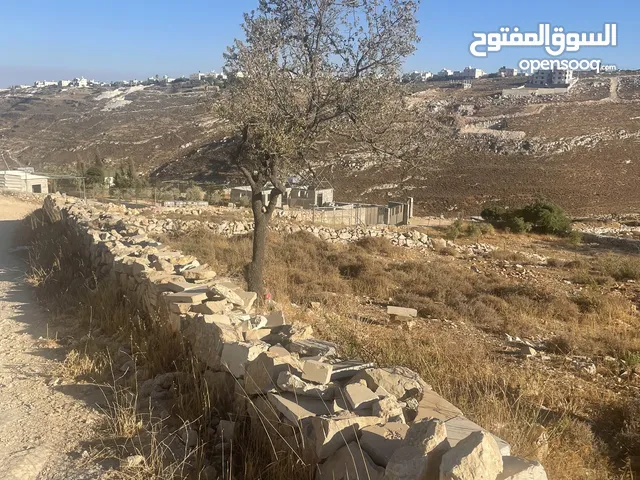 ارض للبيع في واد رحال