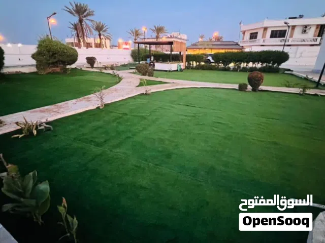 نجيل صناعية لاند سكيب مونديال ضمان الجودة 5سنوات