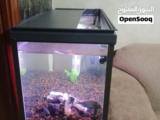 حوض سمك مع كامل اغراضو للبيع