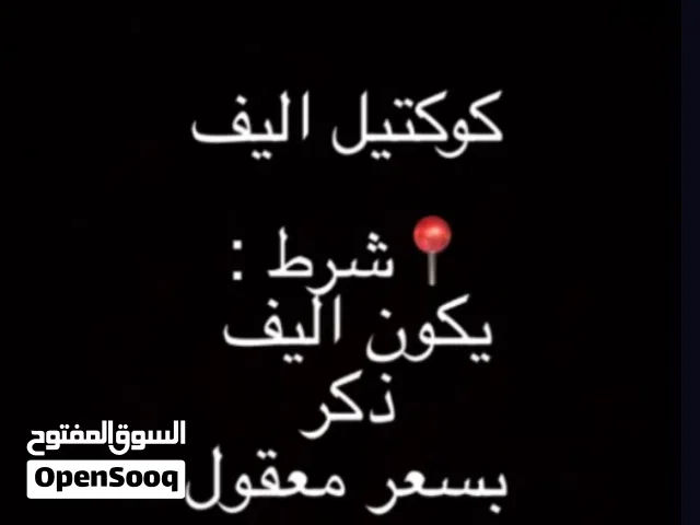 مطلوب كوكتيل ذكر اليف