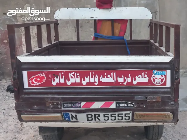 ستوته ام ار تي أوراقها كامله