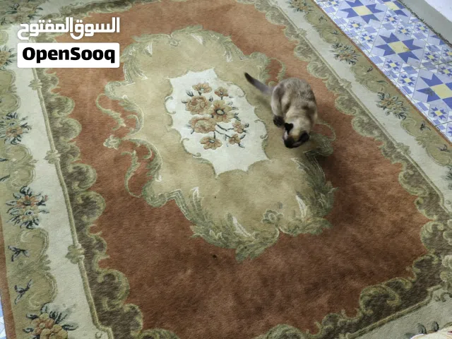 سجاده النساجون الشرقيون بحاله جيده