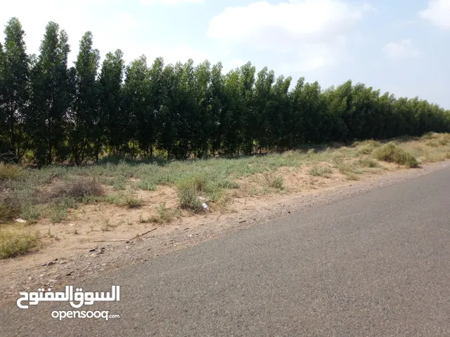 Farm Land for Sale in Al Hudaydah Other