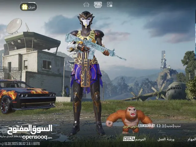 Pubg Accounts and Characters for Sale in Cairo