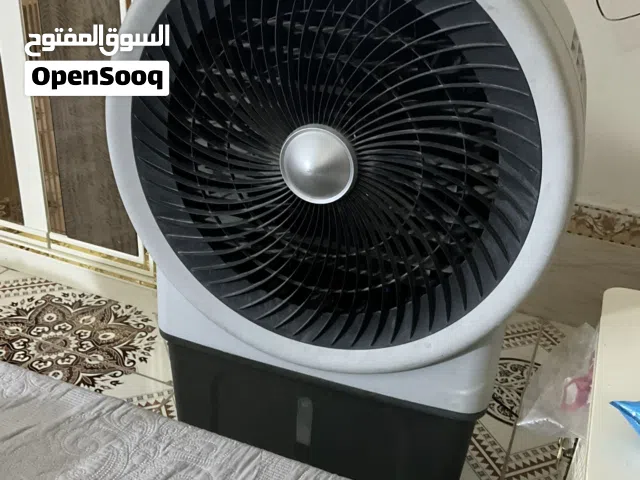 مبرده كونفيره