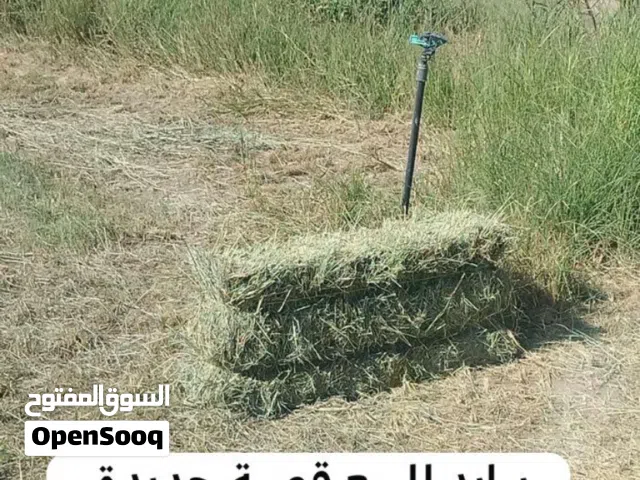 برايد للبيع تتوفر كميه كبيرة