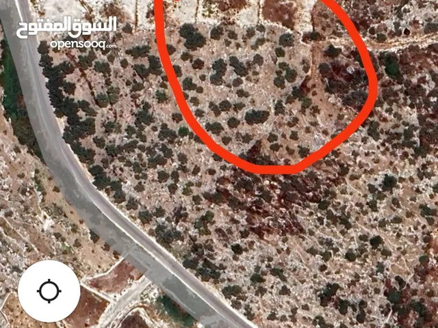 Mixed Use Land for Sale in Tulkarm Bal'a