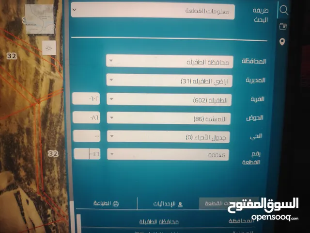 ارض للبيع الطفيلة أزحيقا