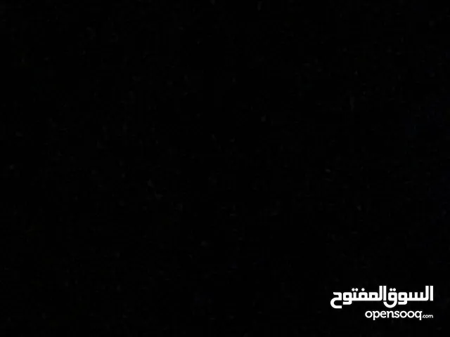 عبد الله النعامي