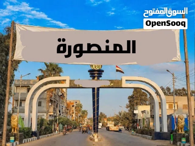 80 m2 3 Bedrooms Apartments for Rent in Mansoura El Gomhuria Street