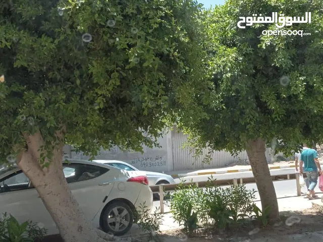 الريان لقص وتقليم وتنظيم الأشجار والحدائق